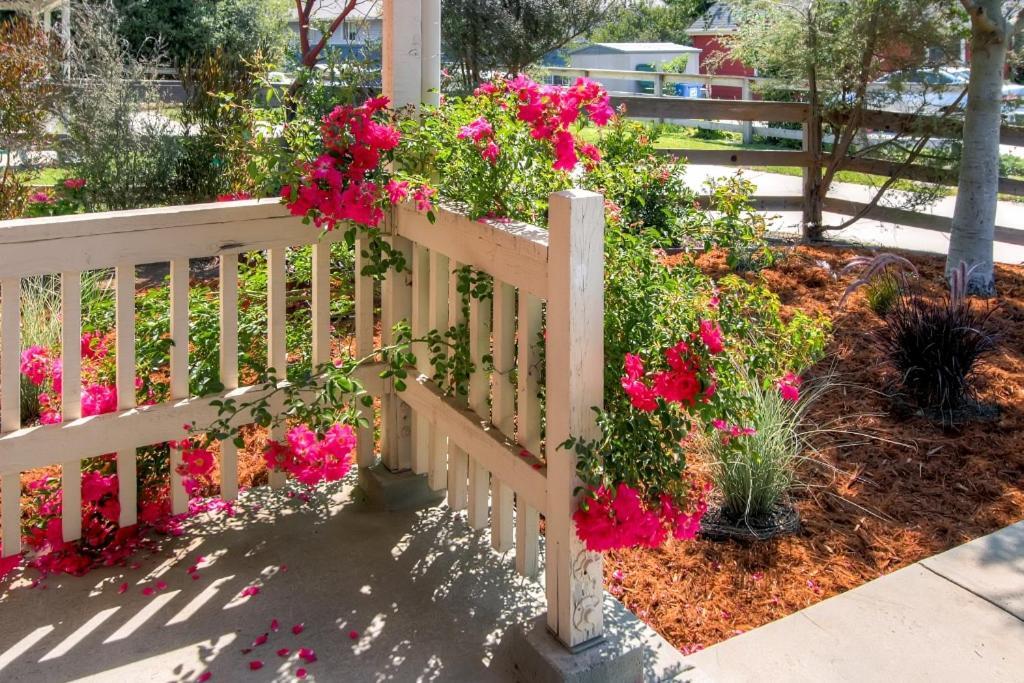 Serene Bungalow-Style Home In Point Reyes Station! エクステリア 写真